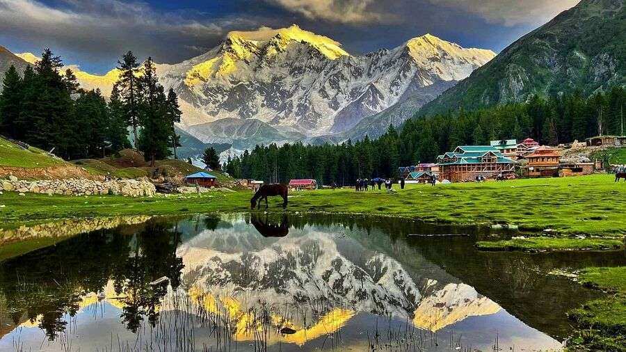 fairy-meadows